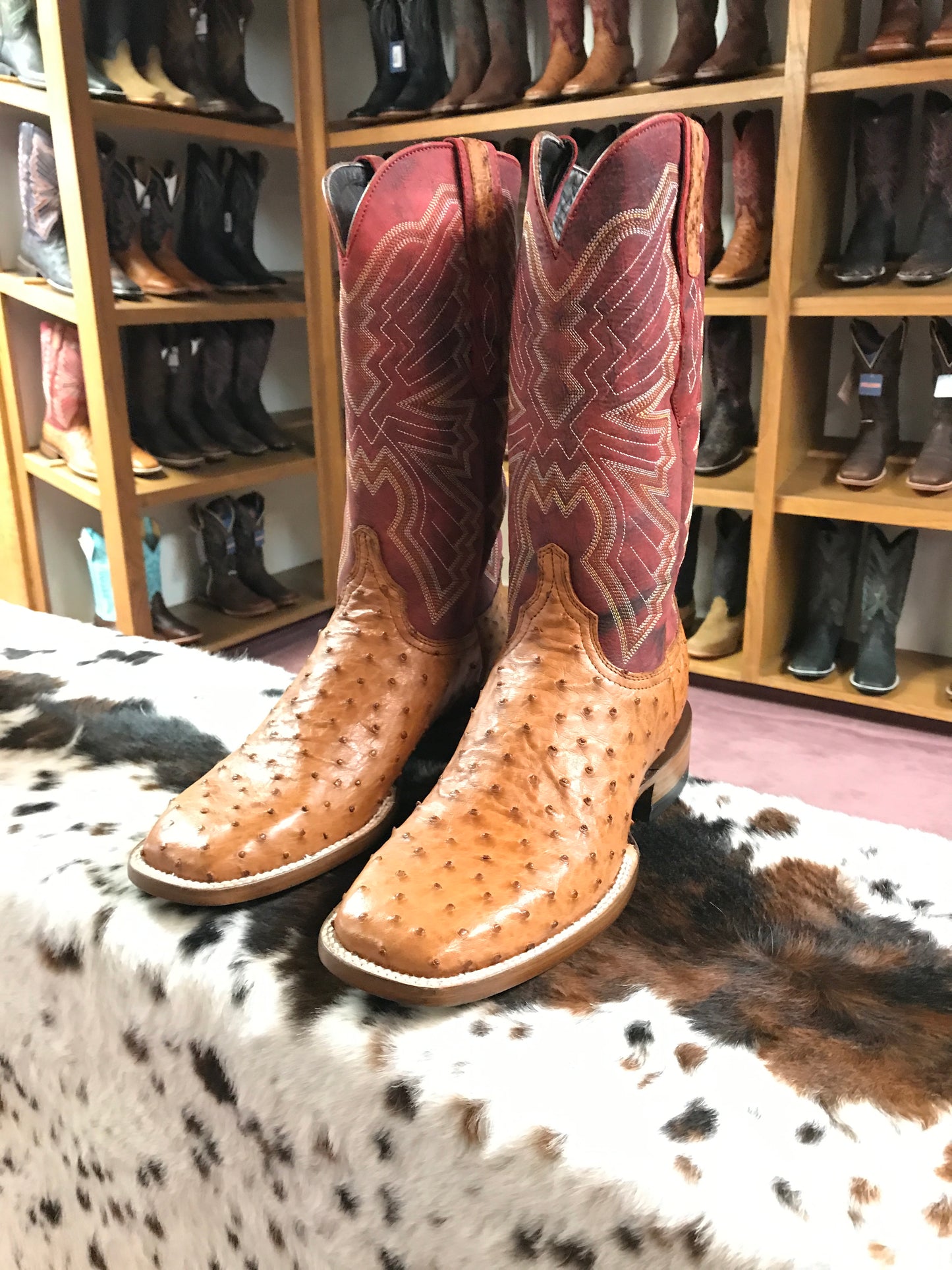 Men's Azulado Cowboy Boots: Jake - Full Quill Ostrich - Cognac